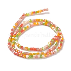 Gradient Color Electroplate Glass Bead Strands&nbsp;GLAA-E042-05-B03