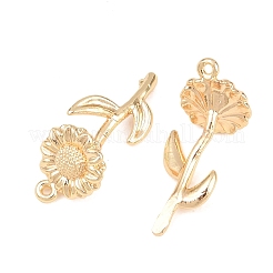 Brass Pendants&nbsp;KK-A288-01G-10