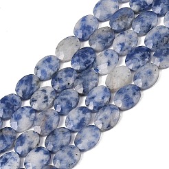 Natural Blue Spot Jasper Beads Strands&nbsp;G-H349-A01-06