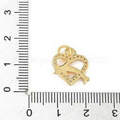 真鍮製マイクロパヴェキュービックジルコニアチャーム  ゴールドカラー  丸カン付き  イルカ  14.5x14x3mm  穴：3.5mm&nbsp;KK-I381-07G-04