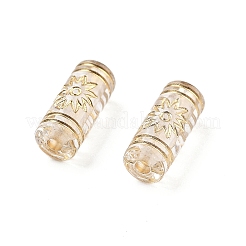 Metal Enlaced Transparent Acrylic Beads&nbsp;MACR-M045-06