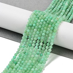 Natural Chrysoprase Beads Strands&nbsp;G-B088-C19-03