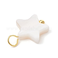 Natural Freshwater Shell Pendants&nbsp;PALLOY-JF02416-02