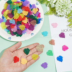 240Pcs 12 Colors Autumn Theme Transparent Frosted Acrylic Pendants&nbsp;MACR-PH0002-14