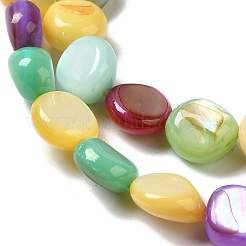 Natural Freshwater Shell Beads Strands&nbsp;SHEL-K006-32