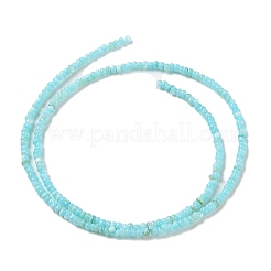 Natural Freshwater Shell Beads Strands&nbsp;SHEL-P017-01A-03