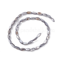 天然淡水貝殻染めビーズ連売り  馬の目  スレートグレイ  9~11.5x4~6mm  穴：0.8mm  約33~41個/連  14.96~15.35インチ（38~39cm）&nbsp;X-SHEL-M018-13-04