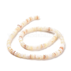 シェルビーズ連売り  ディスク  貝殻色  4.9~6x0.4~6mm  穴：0.6~0.8mm  約15.2インチ&nbsp;SSHEL-E571-49I