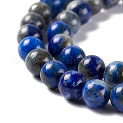 Natural Lapis Lazuli Round Beads Strands&nbsp;X-G-I181-09-6mm