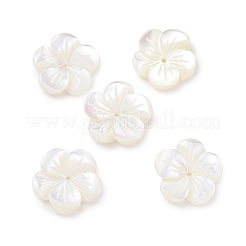 Natural Trochid Shell/Trochus Shell Beads&nbsp;SHEL-P014-02D