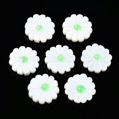 Natural Freshwater Shell Beads&nbsp;SHEL-N026-143A-149C-1