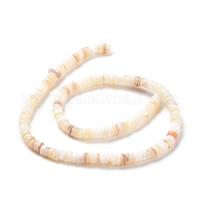 シェルビーズ連売り  ディスク  貝殻色  4.9~6x0.4~6mm  穴：0.6~0.8mm  約15.2インチ&nbsp;SSHEL-E571-49I-1