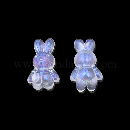 Transparent Acrylic Beads&nbsp;OACR-N008-172F-1
