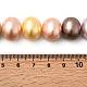 シェルパールビーズ連売り  ポテト  ミックスカラー  12.5~13x15~15.5x12~12.5mm  穴：0.9mm  約31個/連  15.71インチ（39.9cm）&nbsp;BSHE-F013-01N-4