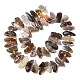 Natural Botswana Agate Beads Strands&nbsp;G-L649-A06-01-3