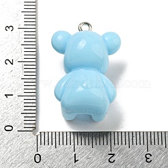 10Pcs Opaque Resin Pendants&nbsp;RESI-H160-01P-07