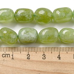 天然石マレーシアジェイドビーズ連売り  オーバル  染め  黄緑  11~13x9~10x8.5~10mm  穴：1mm  約16個/連  7.28~7.48インチ（18.5~19cm）&nbsp;G-P528-N01-01