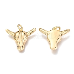 Brass Pendants&nbsp;KK-O132-02G