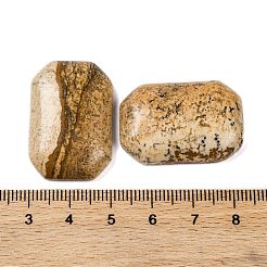 Natural Picture Jasper Cabochons&nbsp;G-B085-01A-02
