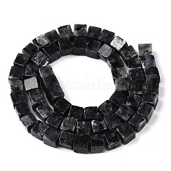 Natural Larvikite Beads Strands&nbsp;G-T139-6x6-25A