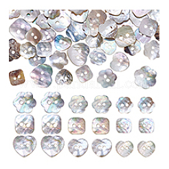 90Pcs 9 Styles 2-Hole Natural Shell Buttons&nbsp;BUTT-PH0001-49