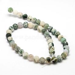 Natural Tree Agate Frosted Agate Round Gemstone Beads Strands&nbsp;G-O151-01-10mm