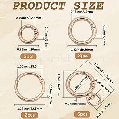 6Pcs 3 Styles Alloy Spring Gate Rings&nbsp;FIND-SC0015-14