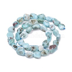 Natural Larimar Beads Strands&nbsp;X-G-L493-37