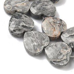 Natural Map Stone Beads Strands&nbsp;G-A309-A17-01