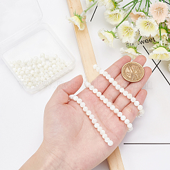 2 Strands Natural Trochid Shell/Trochus Shell Beads Strands&nbsp;BSHE-BC0001-07