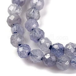 Natural Tanzanite Beads Strands&nbsp;X-G-F770-C04-03