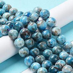 天然石アパタイトビーズ連売り  ラウンド  9.5~10.5mm  穴：1mm  約40個/連  15.71インチ（39.9cm）&nbsp;G-G858-01C