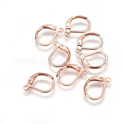 304 Stainless Steel Leverback Earring Findings&nbsp;STAS-E460-03RG