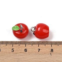 Spray Painted Opaque Resin Charms&nbsp;RESI-F061-01A-01