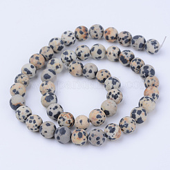 Natural Dalmatian Jasper Beads Strands&nbsp;X-G-Q462-8mm-05