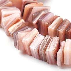 Freshwater Shell Beads Strands&nbsp;BSHE-O017-10E