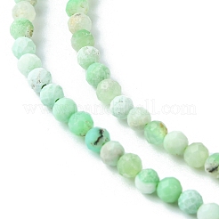 Natural Chrysoprase Beads Strands&nbsp;G-F748-X01-03B