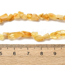 天然琥珀ビーズ連売り  ナゲット  5~9x4~6x3~4.5mm  穴：0.7mm  約75~89個/連  15.35''（39cm）〜15.94''（40.5cm）&nbsp;G-I389-A15