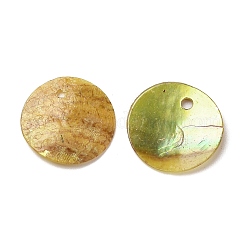 Spray Painted Natural Akoya Shell Charms&nbsp;SHEL-F007-15A-04