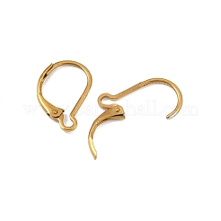 Ion Plating(IP) 304 Stainless Steel Leverback Earring Findings&nbsp;LS-STAS-K233-04G-01A
