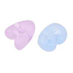 Frosted Transparent Acrylic European Beads&nbsp;AC-CBAE09B-07