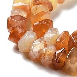 Natural Orange Botswana Agate Beads Strands&nbsp;G-D091-A23