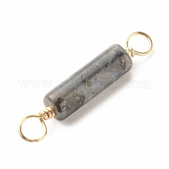 Natural Larvikite Connector Charms&nbsp;PALLOY-JF01454-05