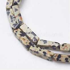 Natural Dalmatian Jasper Beads Strands&nbsp;G-G968-D10