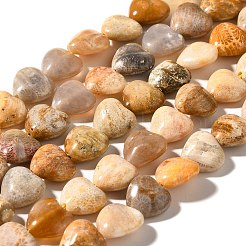 Natural Fossil Coral Beads Strands&nbsp;G-R190-10mm-45