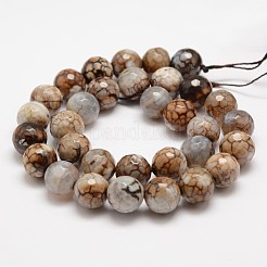 Faceted Natural Fire Crackle Agate Beads Strands&nbsp;X-G-F447-12mm-B14