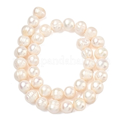 Natural Cultured Freshwater Pearl Beads Strands&nbsp;PEAR-L034-12B