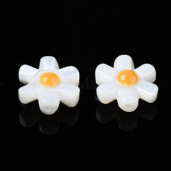 Natural Freshwater Shell Beads&nbsp;SHEL-S278-032