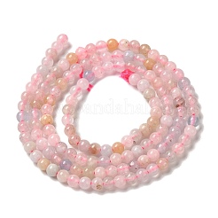 Natural Morganite Beads Strands&nbsp;G-B090-A24-03