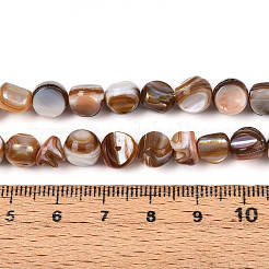 天然淡水シェルビーズ連売り  ナゲット  キャメル  4.5~13.5x6.5~8.5x5~8.5mm  穴：0.7mm  約51~53個/連  14.76~15.16''（37.5~38.5センチメートル）&nbsp;SHEL-T020-28